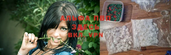 прущие грибы Балахна