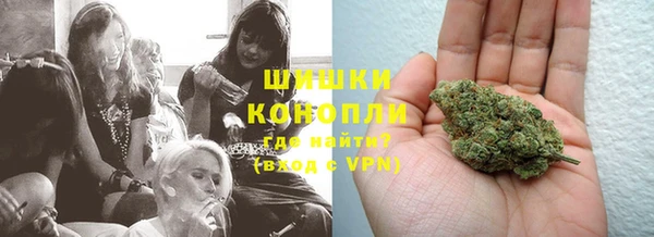 прущие грибы Балахна