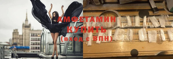 прущие грибы Балахна