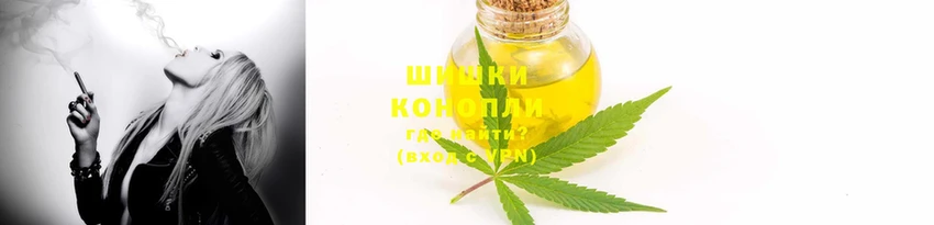 ПСИЛОЦИБИНОВЫЕ ГРИБЫ Балабаново