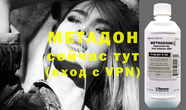 прущие грибы Балахна