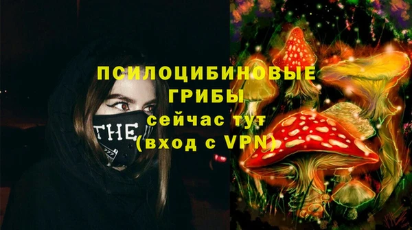 прущие грибы Балахна