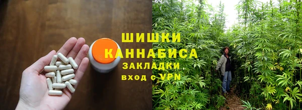 ПСИЛОЦИБИНОВЫЕ ГРИБЫ Балабаново
