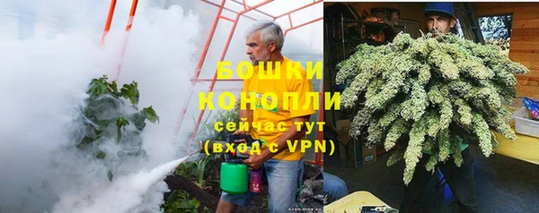 прущие грибы Балахна