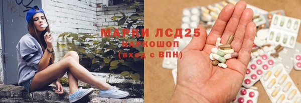ПСИЛОЦИБИНОВЫЕ ГРИБЫ Балабаново